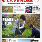 N° 267 – Octobre 2020