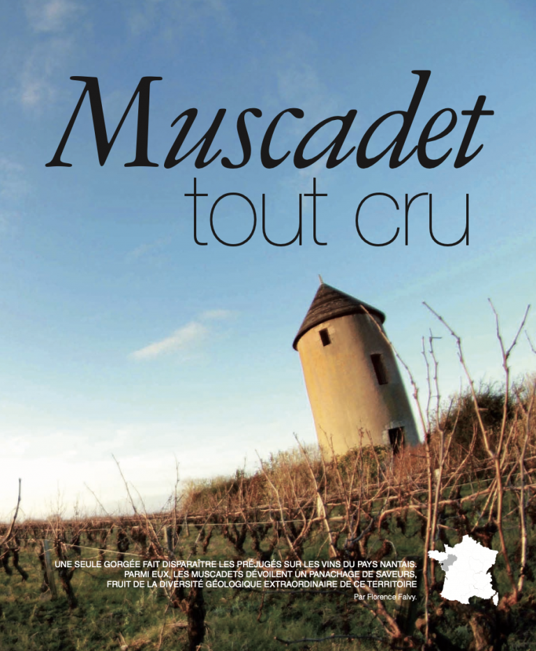 Muscadet tout cru