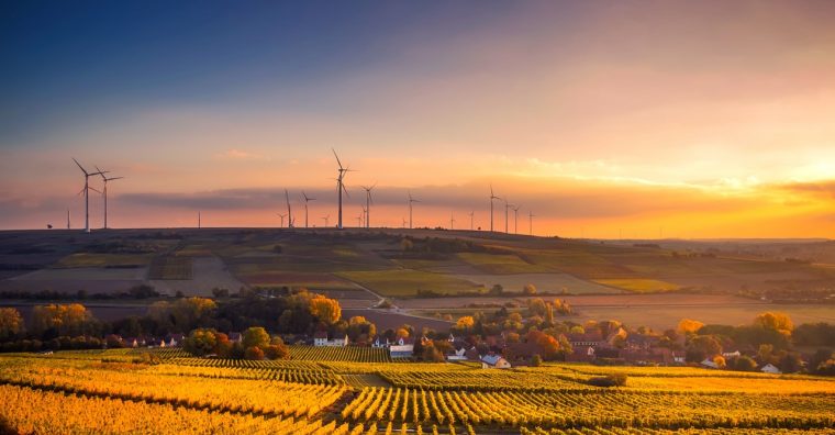 Les territoires face aux enjeux de développement durable